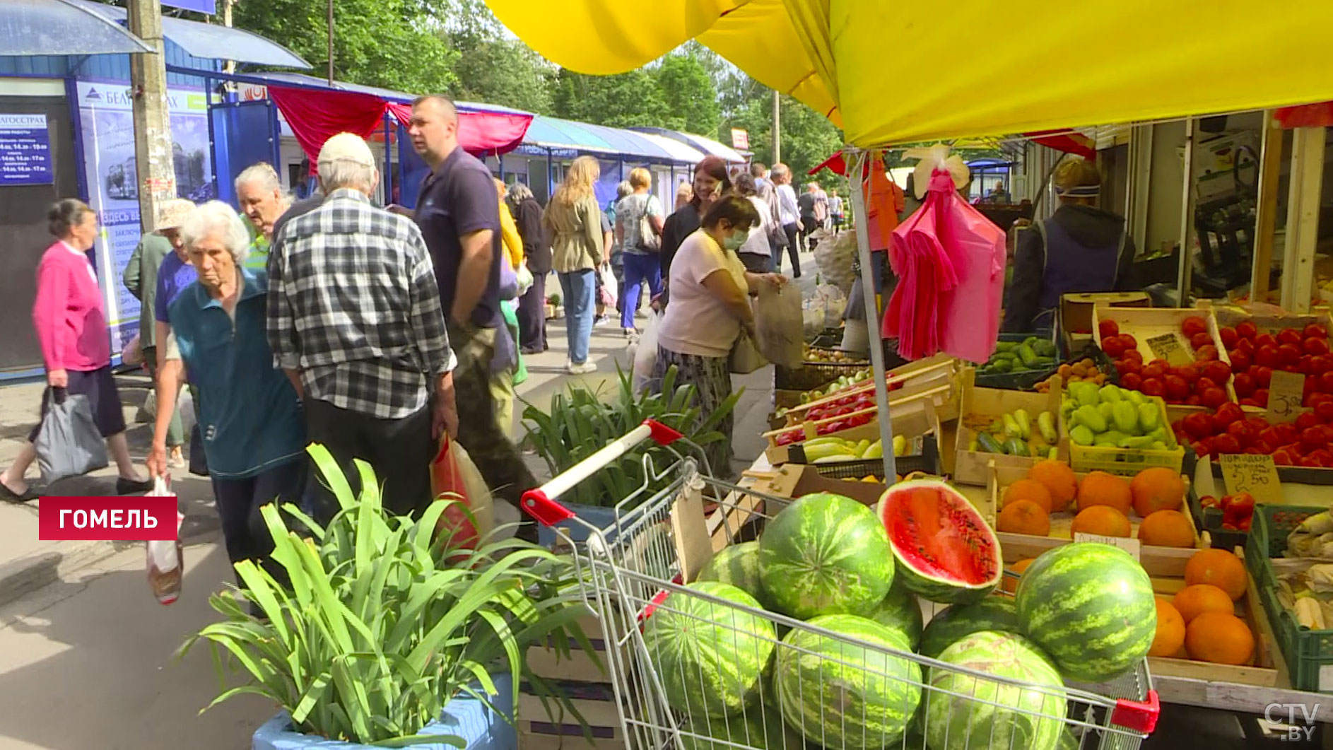 Из торговой сети Гомельской области изъяли некачественную продукцию и небезопасную посуду-1