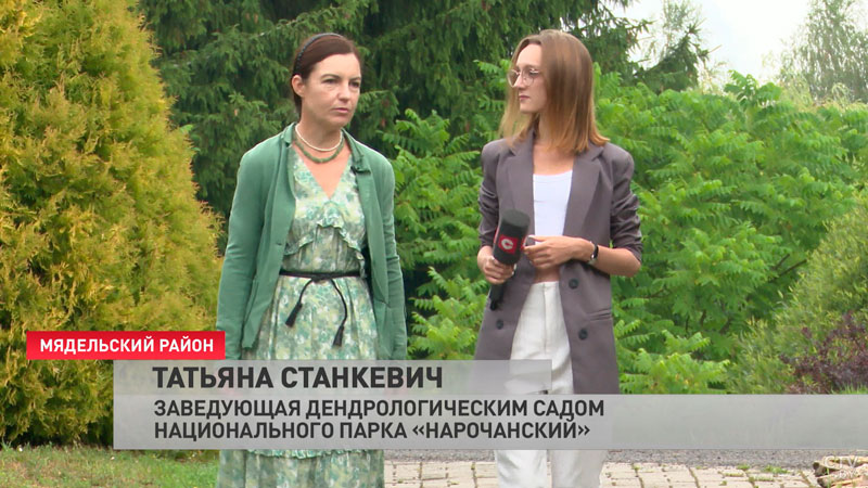 От курильского чая и маньчжурского ореха до лиственницы. Экскурсия по уникальному саду всего в 5 километрах от Мяделя-7