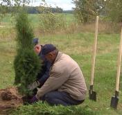 «Сад памяти» заложили в Минском районе. Он посвящён 75-летию Победы