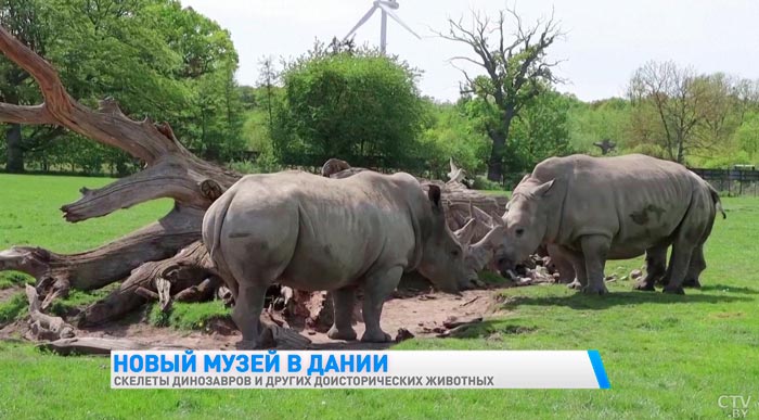 В датском сафари-парке Кнутенборг откроется музей динозавров и других доисторических животных-4