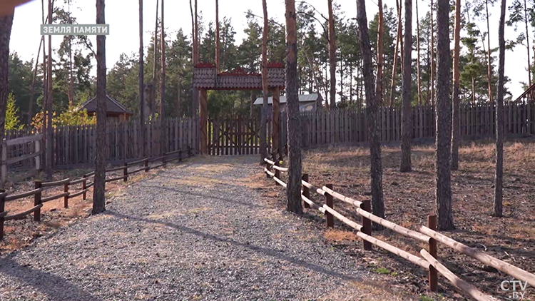 Гон оленей, полесская аборигенная лошадь и домик Бабы Яги. Что ещё можно увидеть в сафари-парке в «Припятском»?-1