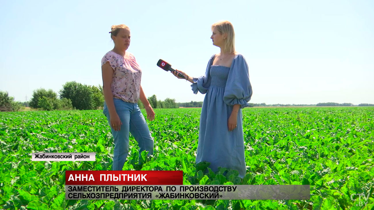 Сахарный хаос в Беларуси. Развенчали фейки и показали реальную ситуацию в стране-19 Сахарный хаос в Беларуси. Развенчали фейки и показали реальную ситуацию в стране-19