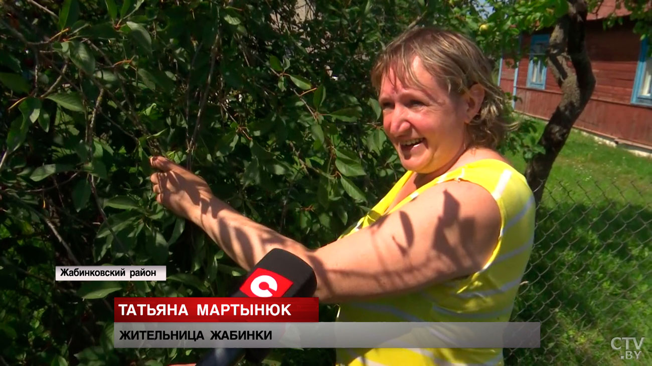 Сахарный хаос в Беларуси. Развенчали фейки и показали реальную ситуацию в стране-4