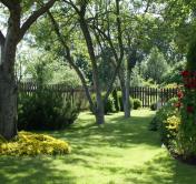 Самое время посадить цветы. Лунный календарь для огородников с 21 по 27 июня