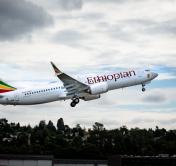 157 человек на борту. В Эфиопии разбился пассажирский самолёт Boeing 737