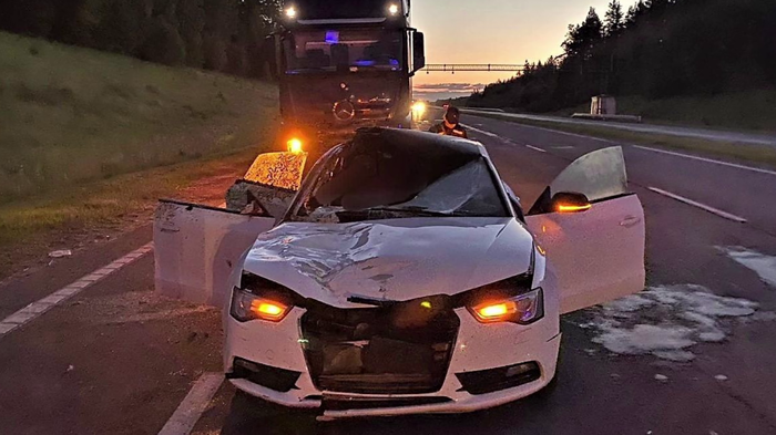 Минчанин на Audi сбил лося. Пассажирка автомобиля скончалась, второй пассажир серьёзно пострадал