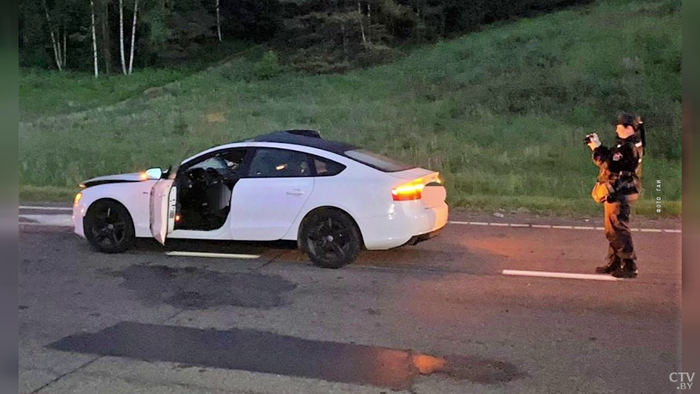 Минчанин на Audi сбил лося. Пассажирка автомобиля скончалась, второй пассажир серьёзно пострадал-1 Минчанин на Audi сбил лося. Пассажирка автомобиля скончалась, второй пассажир серьёзно пострадал-1