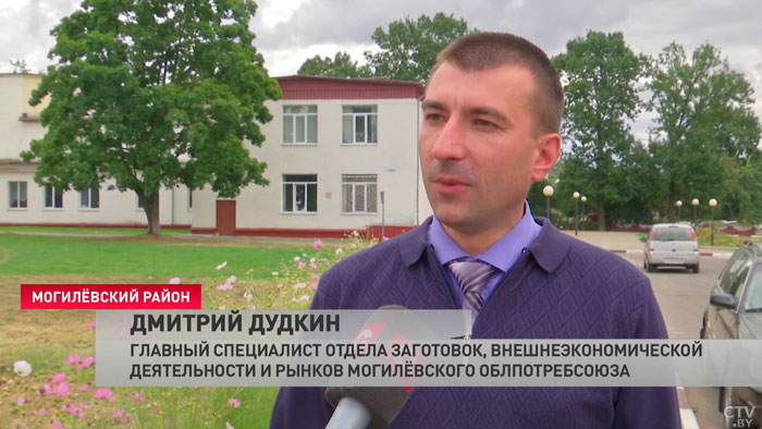 Быховский джем и бобруйский зефир. Куда уходят яблоки из пунктов приёма и сколько можно выручить за килограмм?-19
