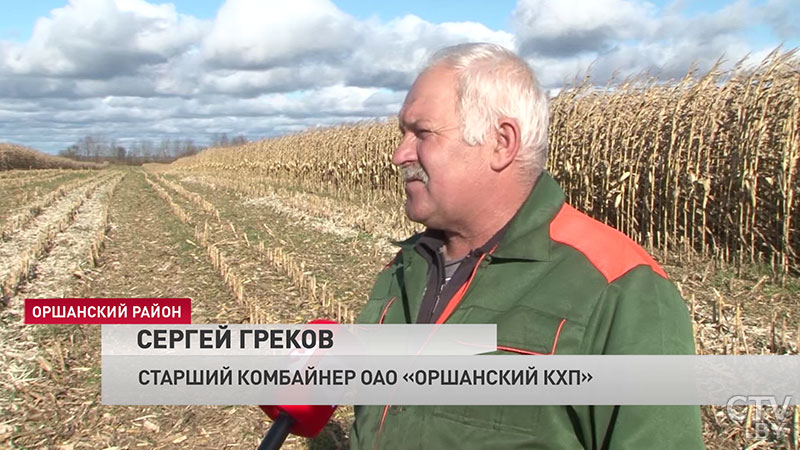 «Простоев практически не было». Как экипажу комбайнеров из Оршанского района удалось намолотитить 6,5 тысяч тонн урожая-4