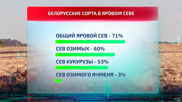 Зерно – оружие сделок и залог сытого завтра. Какие успехи белорусских учёных в селекции зерновых?-16