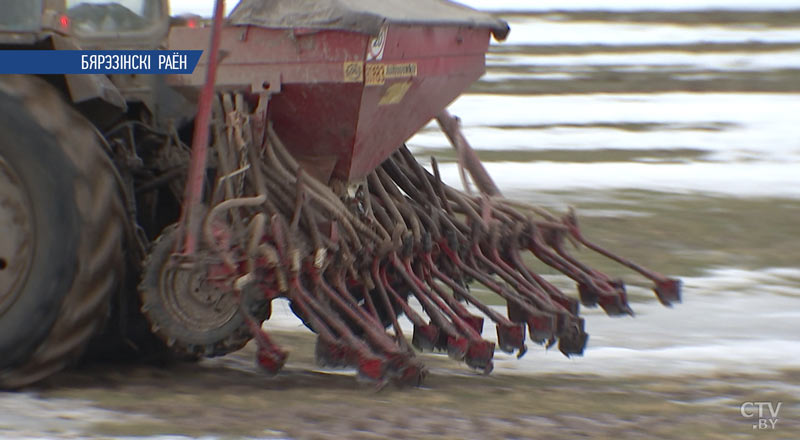 Поля просыпаются: вскоре начнётся массовый сев по Беларуси-7