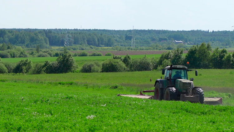 Более 5 млн тонн сенажа заготовлено в сельхозорганизациях Беларуси
