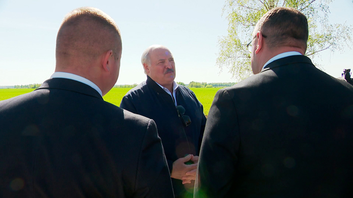 Лукашенко: старые фермы, здания, помещения – всё это надо убрать, по всей республике