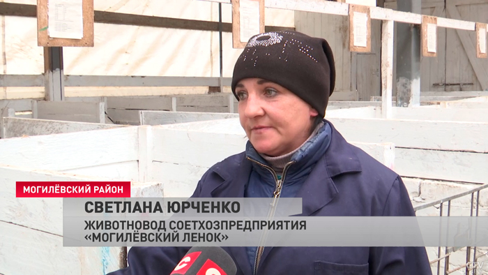 «У нашего Президента болит душа за деревню». Что Лукашенко сказал в Послании о сельском хозяйстве?-4