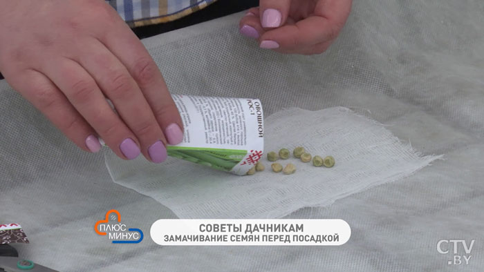 Как правильно замочить семена перед посадкой? Простой способ -1