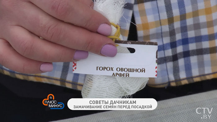 Как правильно замочить семена перед посадкой? Простой способ -4
