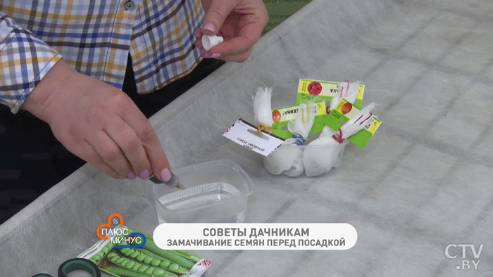 Как правильно замочить семена перед посадкой? Простой способ -7