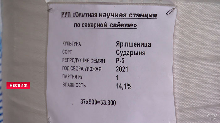 «Есть тысяча тонн высокой репродукции». Какие семена хранятся в закромах Минской области?-1