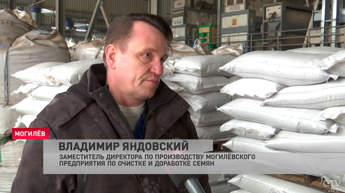 Селекционеры Беларуси создали сорта зерна с рекордной урожайностью. Как учёные открывают новые горизонты для АПК?-19