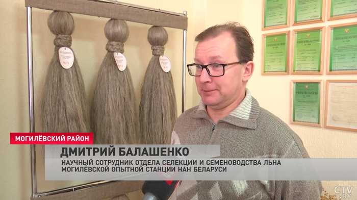Селекционеры Беларуси создали сорта зерна с рекордной урожайностью. Как учёные открывают новые горизонты для АПК?-13