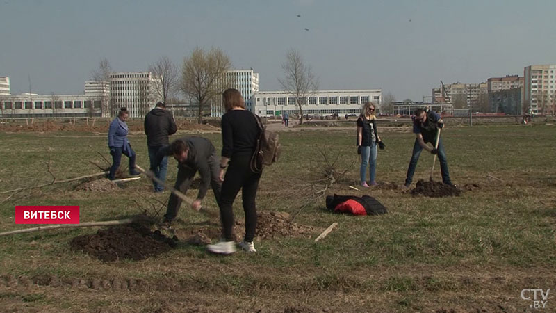 Вечные ценности: аллею семейных деревьев заложили в Витебске-3 Вечные ценности: аллею семейных деревьев заложили в Витебске-3