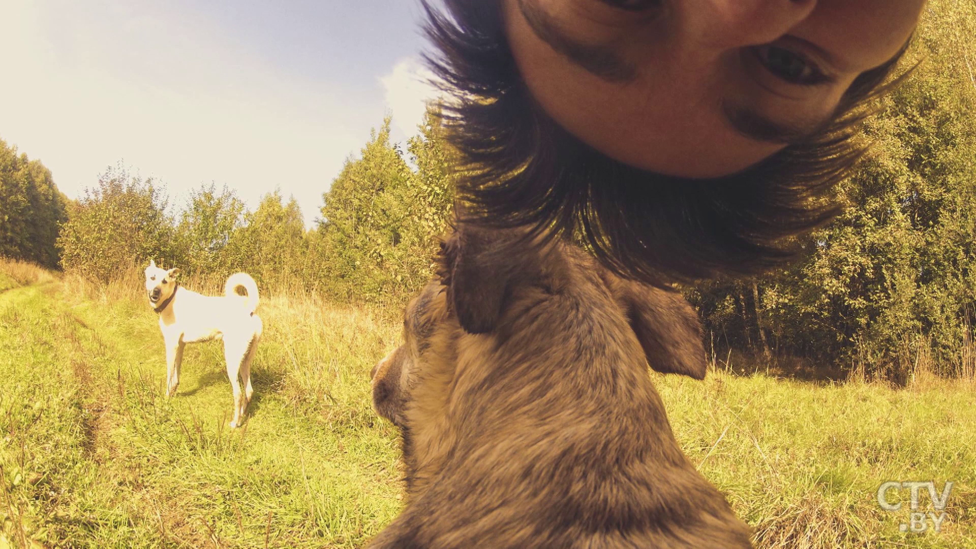 Мир глазами собаки. Пёс Федя фотографирует на GoPro, а лучшие кадры с прогулок публикуют на его странице в соцсети