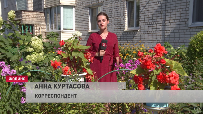 Семейная пара из Жодино сделала возле подъезда настоящий сад с цветами и украшениями-1