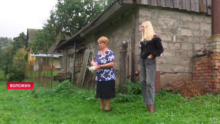 Семья из Воложина спасла аиста – его зовут Гоша, он ходит на прогулки и дружит с другими животными-4