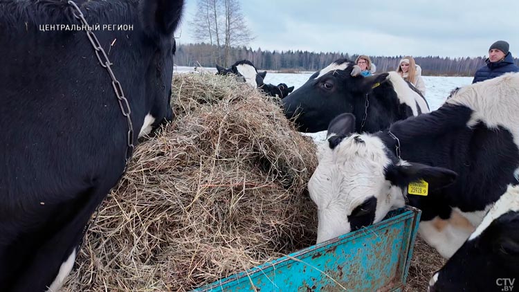 Уехали из Минска в деревню и снимают блог про хозяйство. Посмотрите, как живёт молодая семья-16