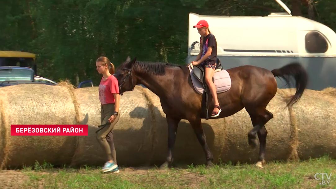 В Беларуси играют в футбол на болотах и косят траву на скорость, чтобы спасти вертлявую камышовку-49