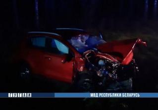 В Минском районе Peugeot сбил лося, а затем врезался в Kia