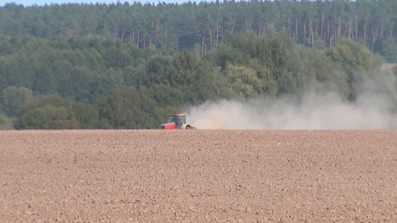 Темпы сева озимых в Беларуси значительно превышают прошлогодние