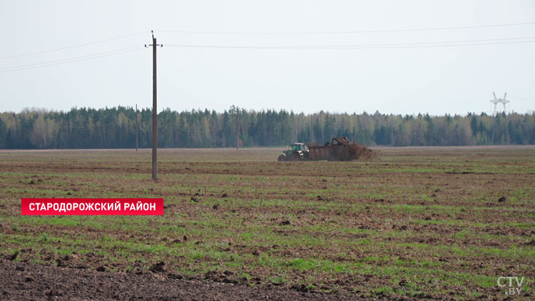 В Минской области посеют более 250 тыс. гектаров кукурузы и 38 тыс. гектаров сахарной свёклы-7