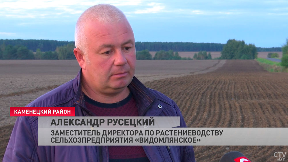 «Если мы поздно посеем, ничего не получим». Аграрий рассказывает о том, почему осенью они работают даже ночью-4