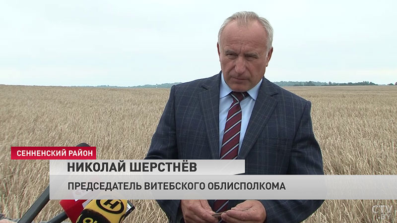 «Погодные условия не просто контрастные – аномальные». Какой прогноз на урожай зерновых дают аграрии Витебской области-21