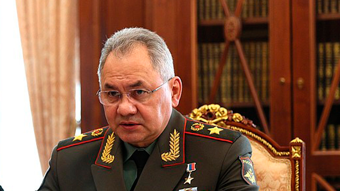 Шойгу заявил, что планов по дополнительной мобилизации нет