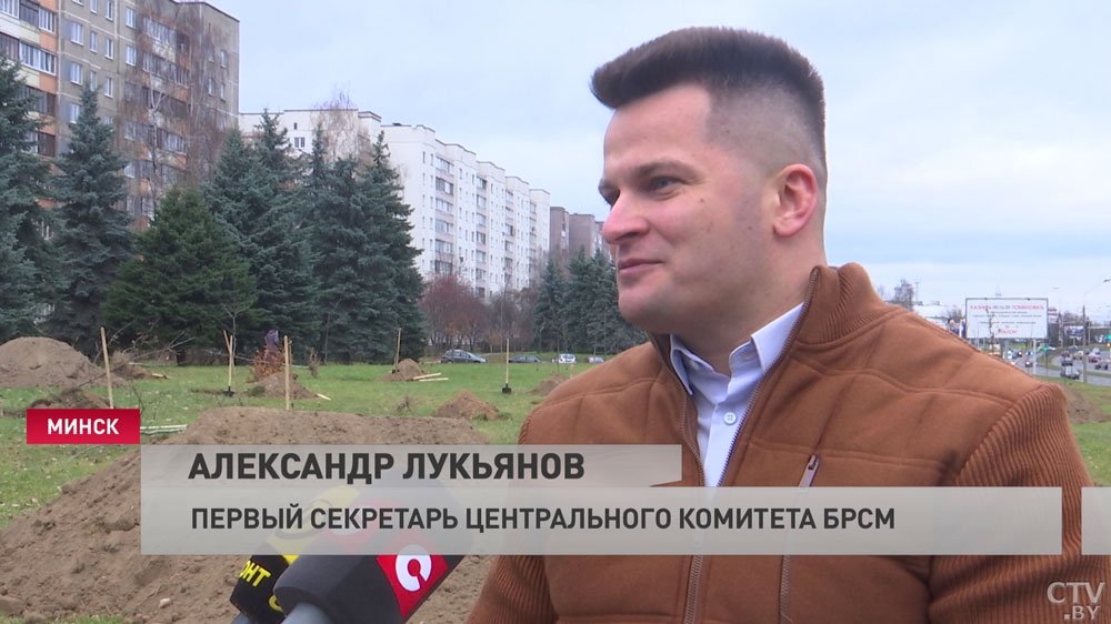 Символ единения молодёжи. В Минске высадили дубовую рощу и повязали на саженцы красно-зелёные ленточки-4