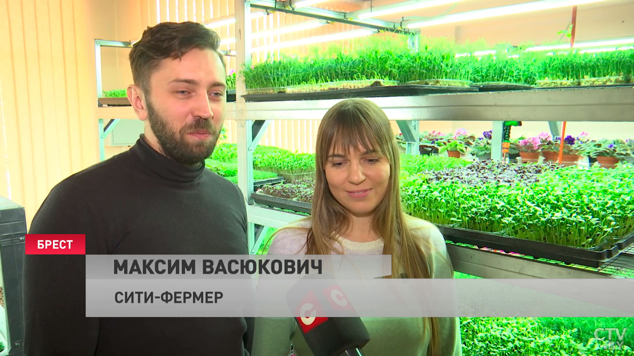 Бейби-листья, съедобные цветы и микрозелень. Сити-фермеры из Бреста меньше чем за год создали бизнес с нуля-7