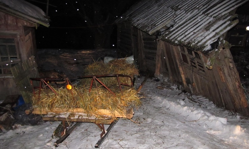 Под Мстиславлем 6-летний мальчик погиб из-за заноса конных саней-1