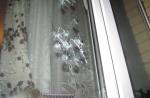 В Стародорожском районе 23-летний мужчина обстрелял из пневматики дом соседа