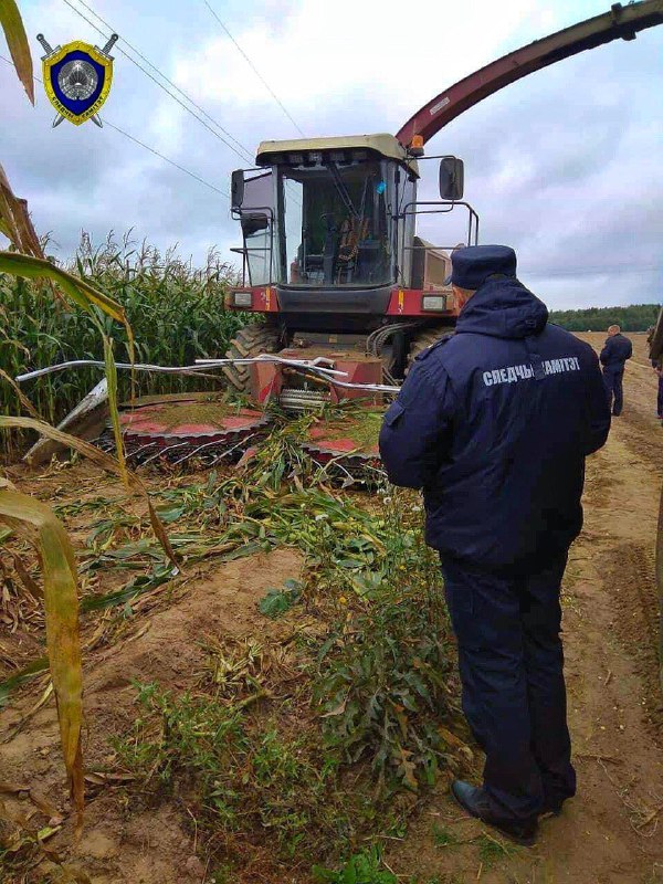 В Дзержинском районе женщина попала в жатку комбайна на кукурузном поле-1