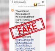 За попытку срыва референдума возбуждены уголовные дела. Неизвестные разослали СМС о переносе даты голосования