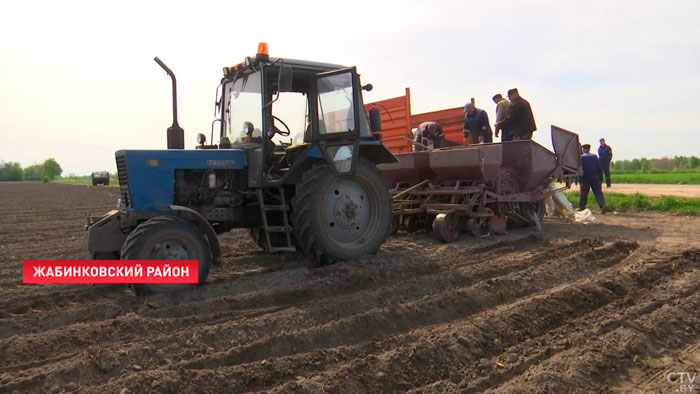 Сколько получают механизаторы и какой будет урожай в 2023-м? Пообщались с аграриями-4