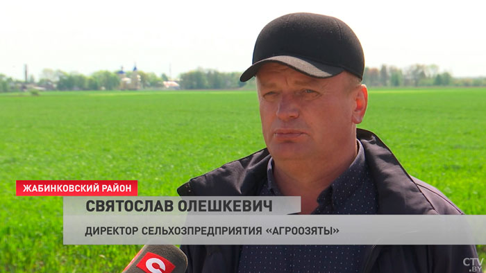 Сколько получают механизаторы и какой будет урожай в 2023-м? Пообщались с аграриями-25