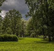 На осень планы очень большие. Сколько зелёных насаждений появится в Минске?