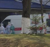Ситуация с коронавирусом в Беларуси. Последние данные Минздрава