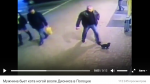 В Полоцке уволили милиционера, пнувшего ногой котенка
