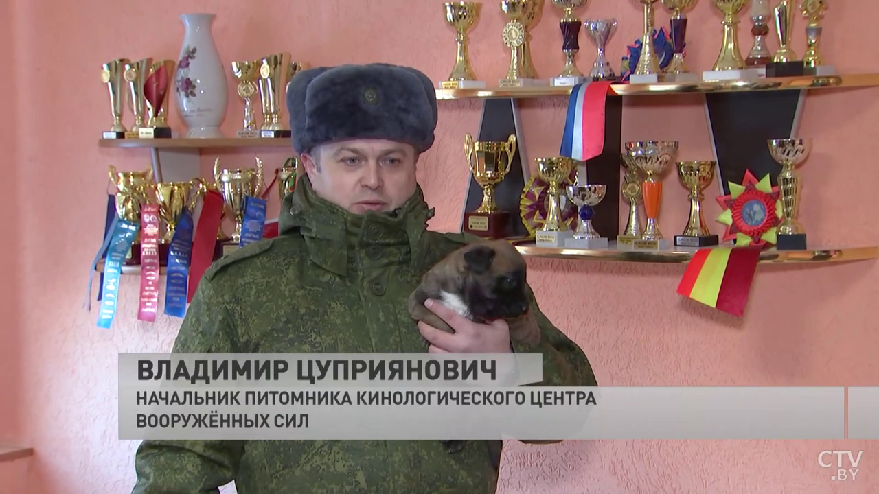 «Рождается до 100 щенков». Побывали в собачьем «роддоме» и узнали, как щенков готовят к службе-1 «Рождается до 100 щенков». Побывали в собачьем «роддоме» и узнали, как щенков готовят к службе-1