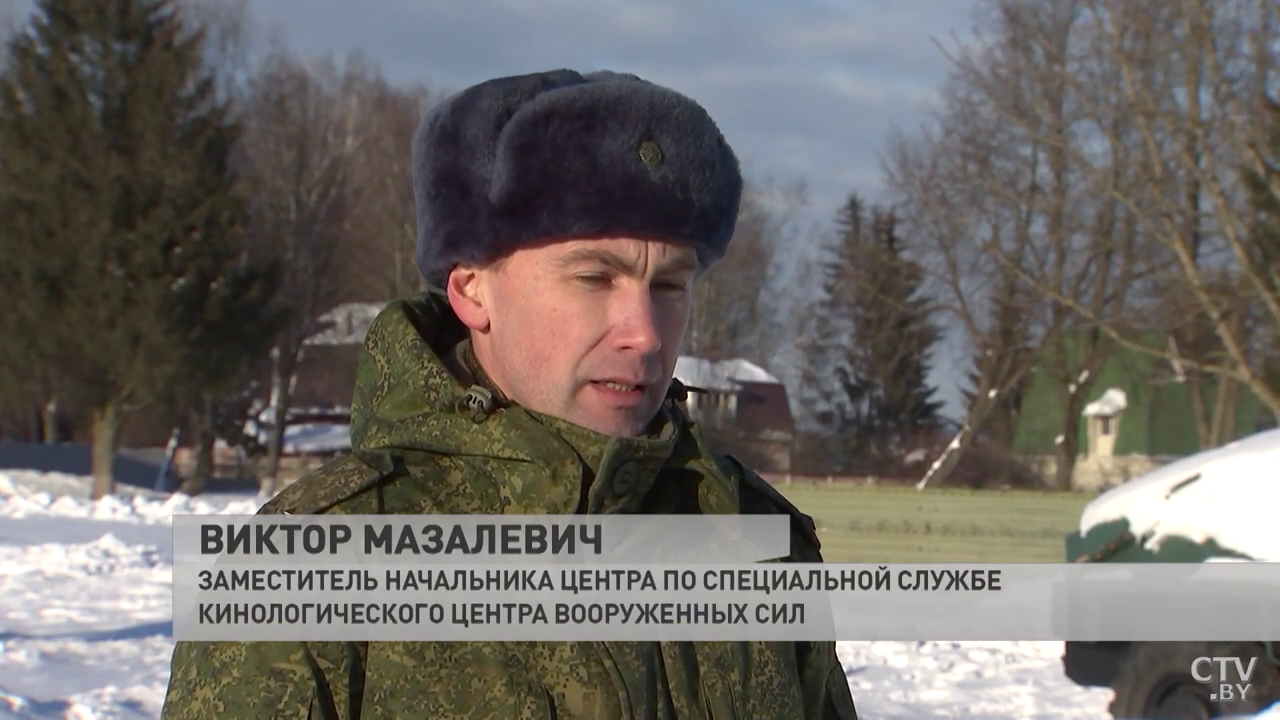 «Рождается до 100 щенков». Побывали в собачьем «роддоме» и узнали, как щенков готовят к службе-7