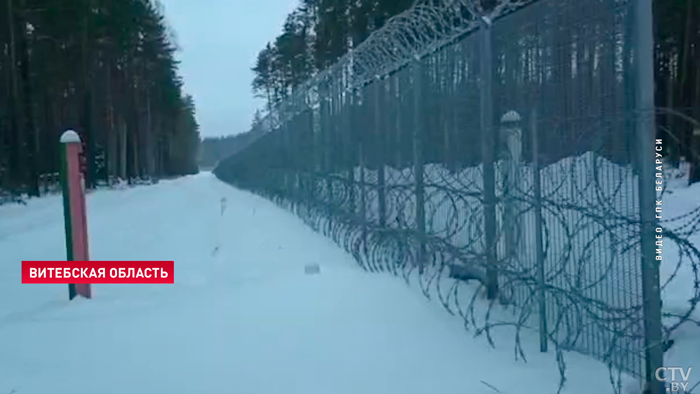 Белорусы снова нашли труп беженца на границе с Литвой. Что говорят очевидцы?-7